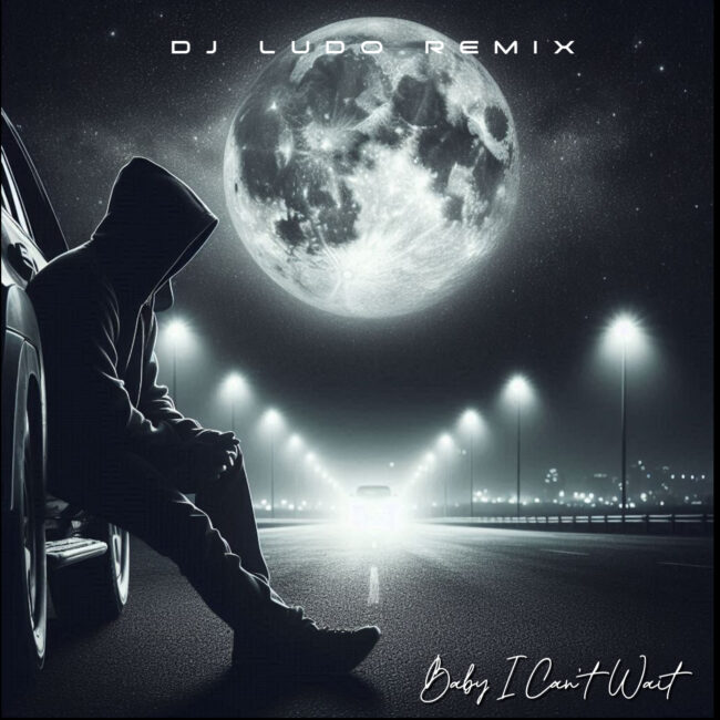DJ LUDO REMIX I can't wait